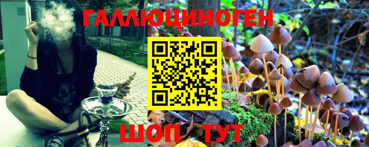 Галлюциногенные грибы MAGIC MUSHROOMS  как найти закладки  Вход с VPN  Егорьевск  Псилоцибиновые грибы мухоморы 